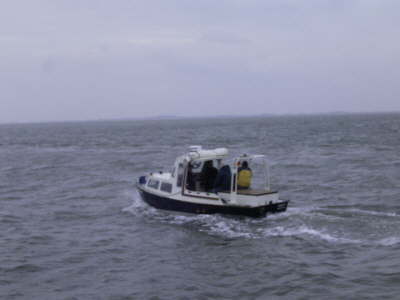 survey boat